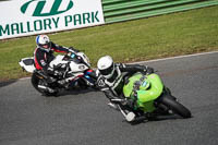 Lower Group Green Bikes